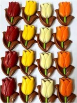 Melk Chocolade Gekleurde Tulpen Assortiment 2,16 Kilo