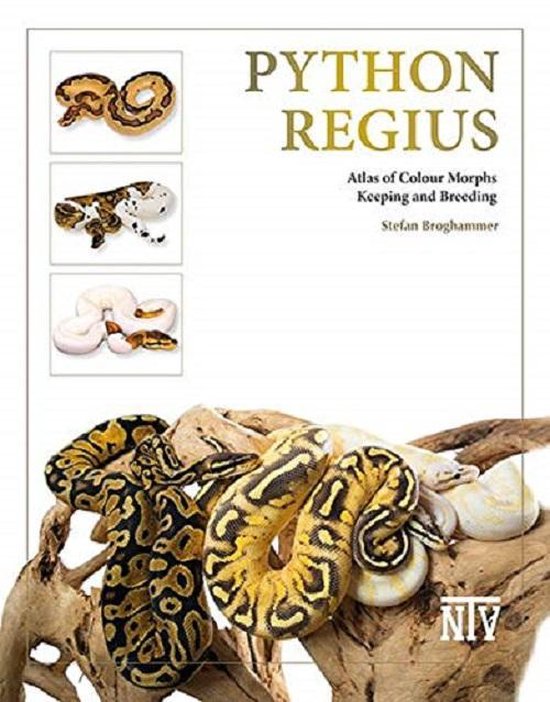 Python regius