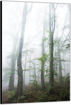 Dibond –Mist in het Bos– 60x90cm Foto op Aluminium (Wanddecoratie van metaal)