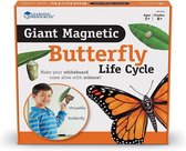Reuze magnetische levenscyclus van een vlinder