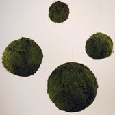 Mosbol Platmos - moskleur: Moss Green - afm. 18 cm