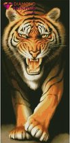 Daimond Painting kit Tiger 51x105