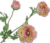 Silk-ka Zijde bloem-Kunst bloem Ranonkel tak Roze-Groen-Geel lengte 65 cm Per 2 stuks