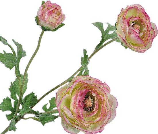 Silk-ka Fleur en soie-Fleur artificielle Branche de renoncule  Rose-Vert-Jaune longueur... | bol.com