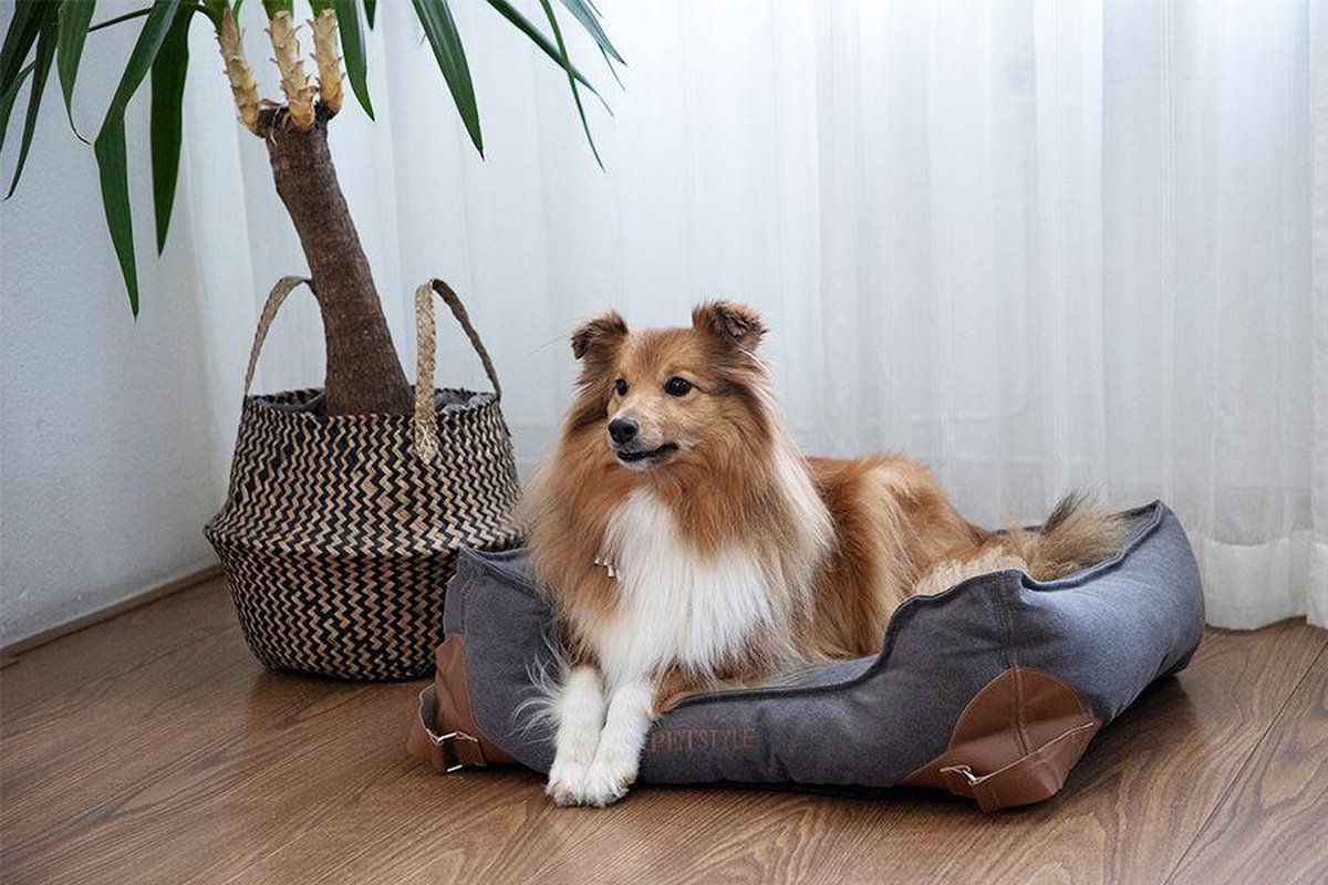 Gezamenlijke selectie hoekpunt Collectief Hondenkussen van Pet Style Living (60 x 50 x 20 cm) | bol.com