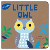 Little Owl