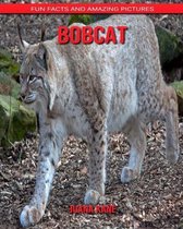 Bobcat