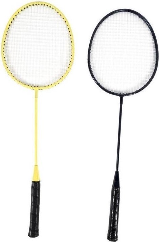 Scatch volleybal- en badmintonset - met net, rackets, shuttles en bal - draagtas - 310 x 168 centimeter - Scatch