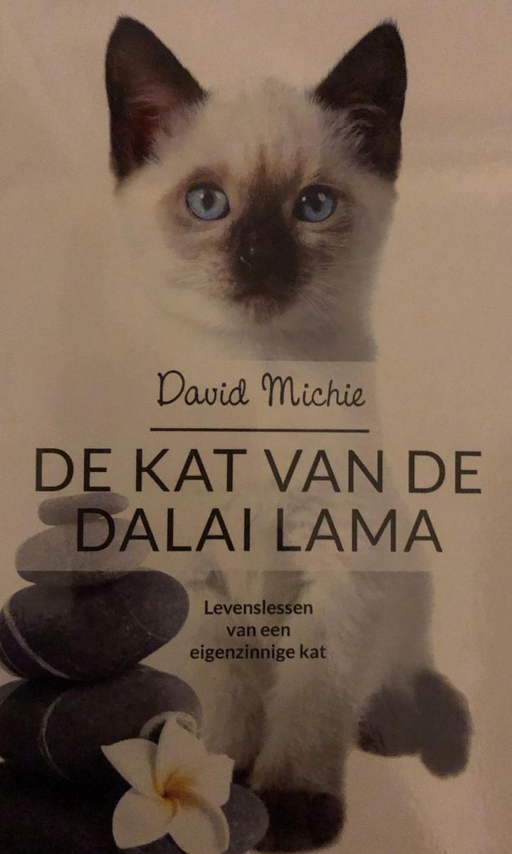 Bol Com De Kat Van De Dalai Lama David Michie Boeken