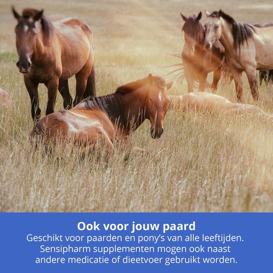 Sensipharm Omniderma Paard - Huid & Vacht Voedingssupplement bij Eczeem, Jeuk & Zomereczeem - 180 Tabletten à 1000 mg - Sensipharm