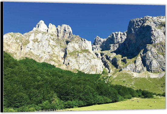 Dibond –Bergen– 90x60 Foto op Aluminium (Wanddecoratie van metaal)