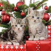 60x Kerst thema servetten met 2 kittens katten/poezen 33 x 33 cm - Papieren kerstservetten - Papieren wegwerpservetten 3-laags