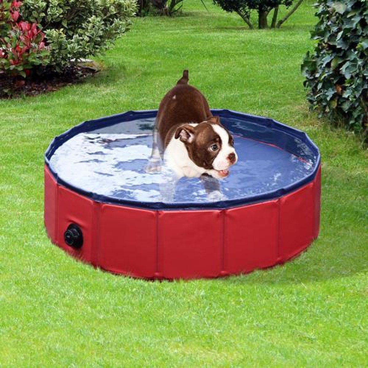 Dog Pool | Zwembad voor Honden | Hondenzwembad | Opvouwbaar | Puppy | Kitten | Kat | Huisdier | Rood thumbnail 3