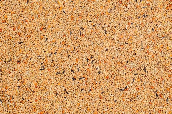 Close-up van een mix van zaden voor vogelvoer, voornamelijk lichtbruin met enkele donkere zaden.