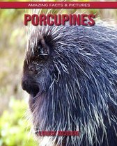 Porcupines