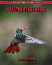 Hummingbirds