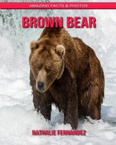 Brown Bear