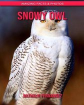 Snowy Owl