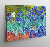 Canvas irissen - Vincent van Gogh - 70x50cm