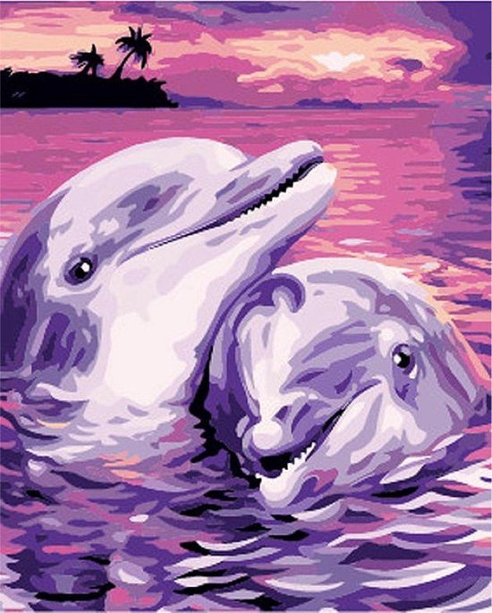 Schilderen op Nummer Dolfijn 40x50 Volwassenen & Kinderen - Kleuren op  Nummer - Paint... | bol.com