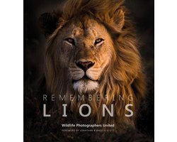 Remembering Lions