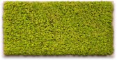 Mosschilderij 120cm x 60cm - rendiermos kleur: Spring Green - lijst: blank hout