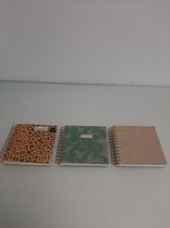 3 verschillende notitieboekjes