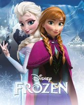 Frozen Anna En Elsa Poster 40x50cm