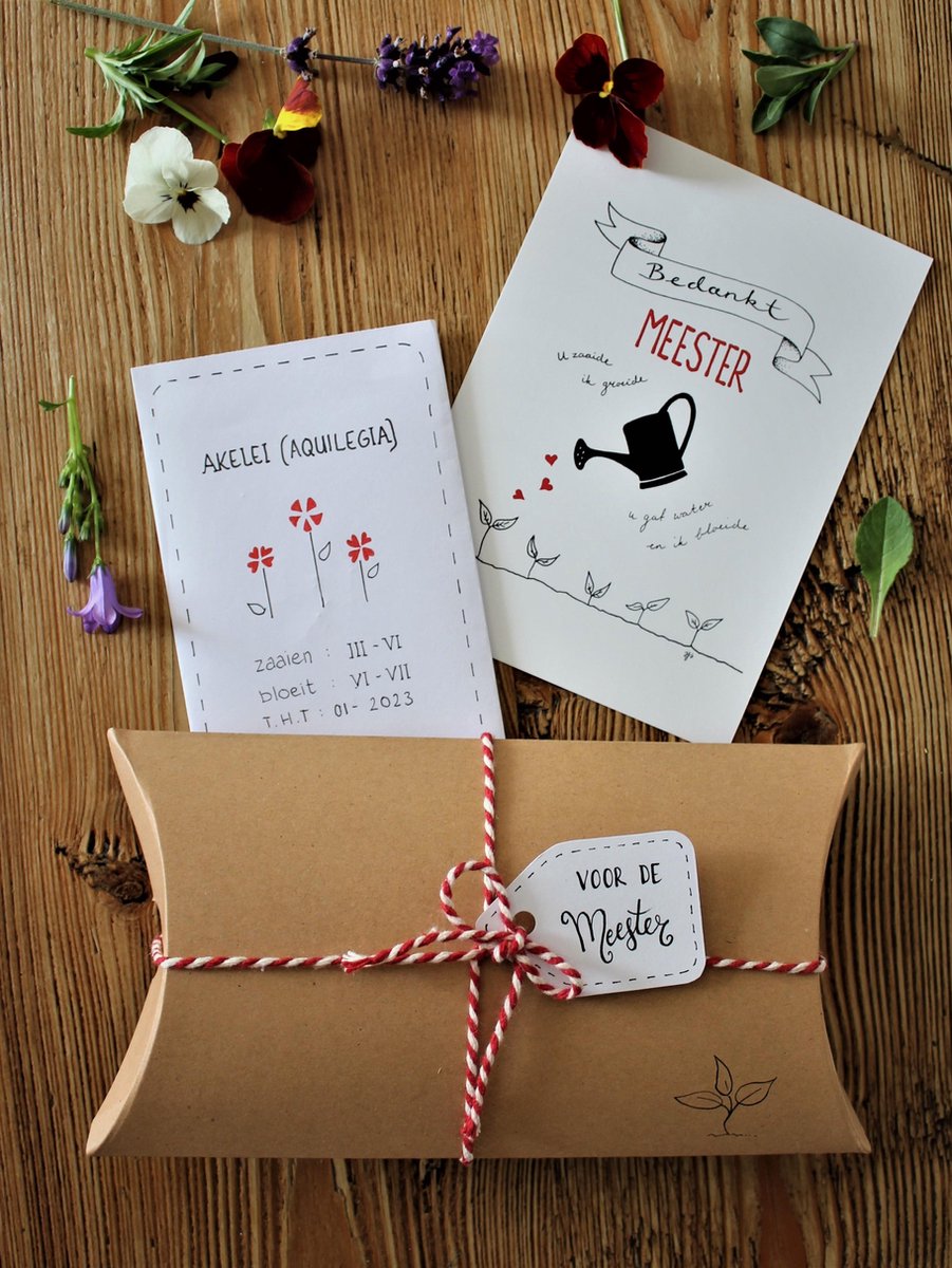 cadeautje voor de meester met bloemzaad;  meesterbedankje, meestercadeau, kado, school, bedankje, bedankt, afscheid, bloemzaadjes