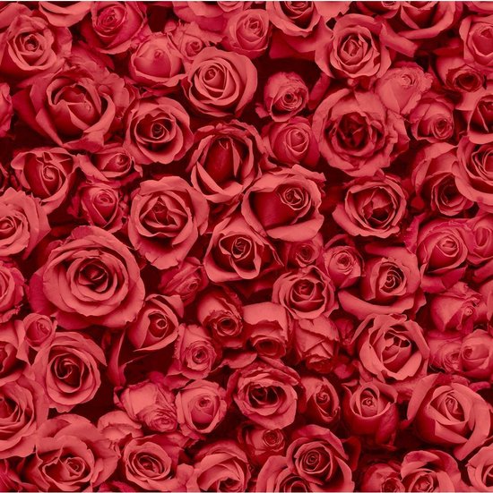 rozen rood bloemen (vliesbehang, rood) | bol.com
