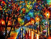 HappyHobby Diamond Painting Kunstige Route - 45x55cm