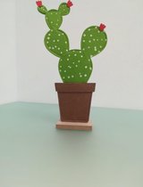 Decoratieve stoffen cactus