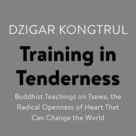 Training in Tenderness - cover