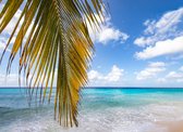 Curacao Strand Canvas 40x60cm - unieke fotoprint op canvas schilderij (Wanddecoratie/Woonkamer/Slaapkamer)