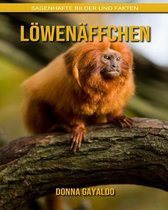 Loewenaffchen