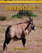 Oryxantilope