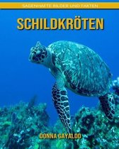 Schildkroeten