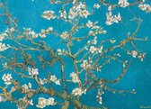 Puzzel 1000 stukjes - Almond Blossom-Vincent van gogh