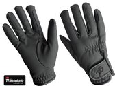 Handschoenen Rider Pro Serino winter