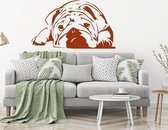 Muursticker Bulldog -  Bruin -  80 x 46 cm  -  slaapkamer  woonkamer  alle muurstickers  dieren - Muursticker4Sale