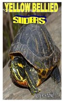 Yellow Bellied Sliders