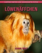 Loewenaffchen