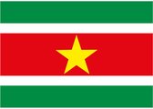 Vlag Suriname stickers