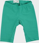 Imsevimse Swim & Sun shorts Green maat 98/104