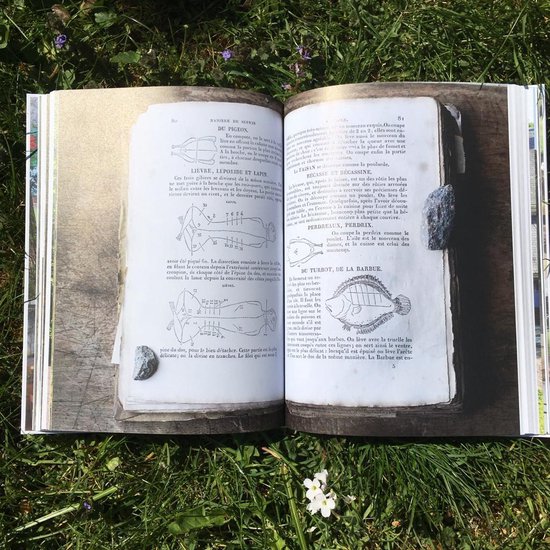 Boekpagina's met illustraties van vissoorten en tekst, geopend op gras met bloemen.