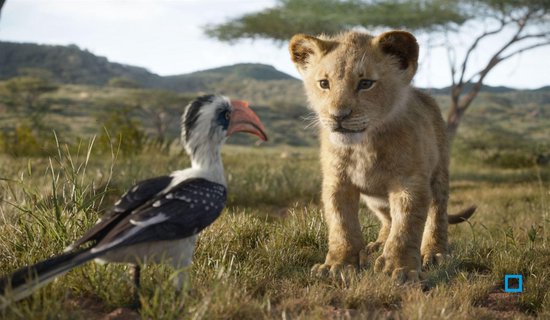 Lion King (DVD) (2019) - Disney Movies