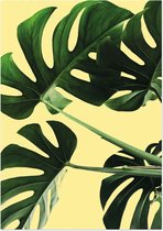 Gatenplant (Monstera) | A3 poster | Gele achtergrond