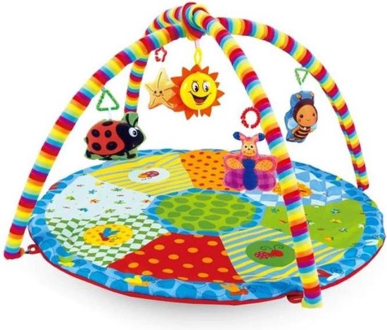 complicaties Wegrijden Trechter webspin Babygym Activity - Babygyms Speeltjes - Kleurrijke speelmat - Speelkleed  met boog -... | bol.com