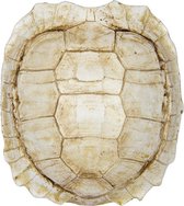 REPLICA SCHILDPAD SCHILD KLEIN - BATELA