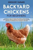 Backyard Chickens for Beginners